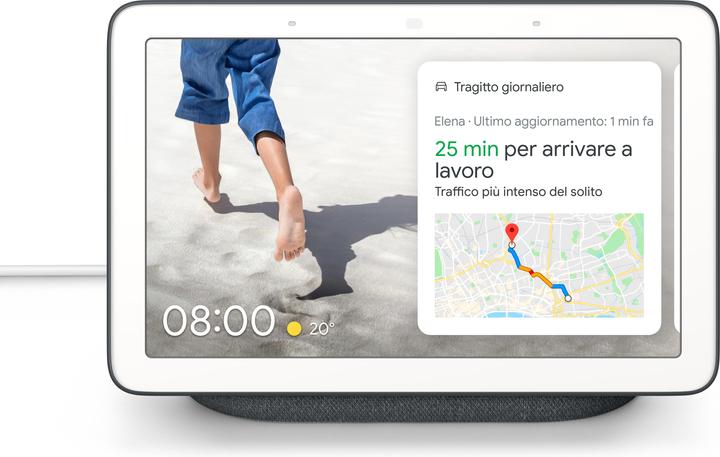 Google Nest Hub (Google Assistant)