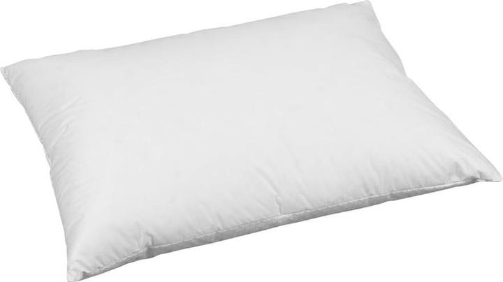 Produktbild Dauny Climaactive Evolution (65 x 100 cm)