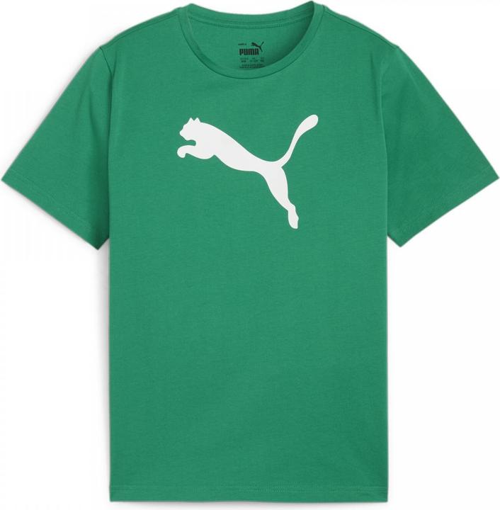 Actual product image Puma teamRISE Logo Jersey Cotton Jr (140)