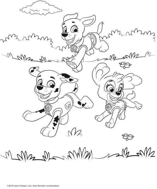 Produktbild Paw Patrol