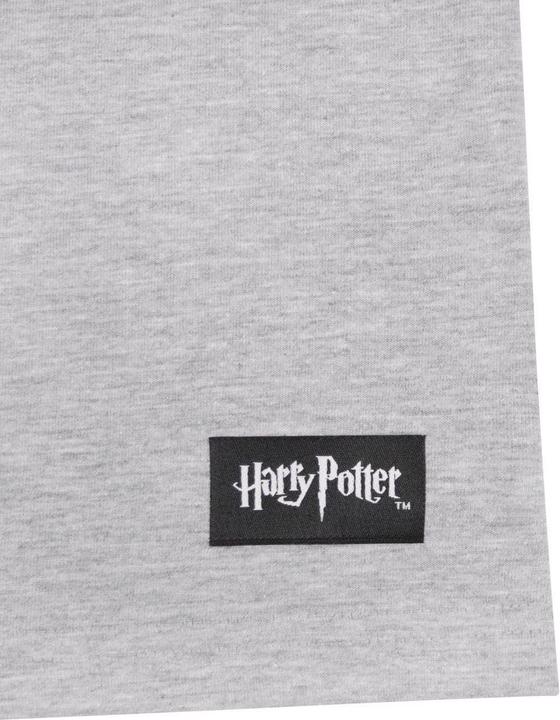 Actual product image Hogwarts raglan top (XXL)
