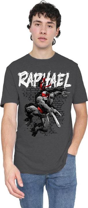 Produktbild Teenage Mutant NT TShirt (XXL)