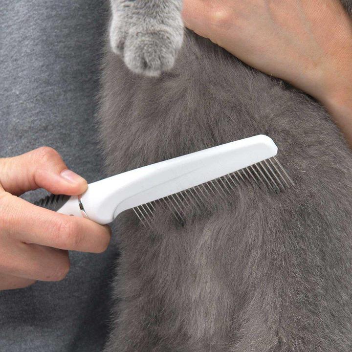 Actual product image Catit Brush Set for Shorthaired Cats (Cat)