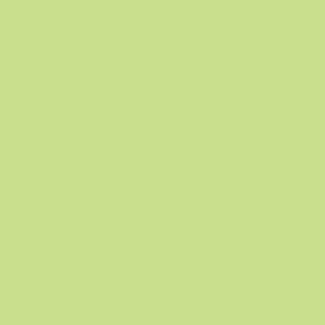Immagine prodotto Rainbow Carta per fotocopie (80 g/m², 500 x, A4)