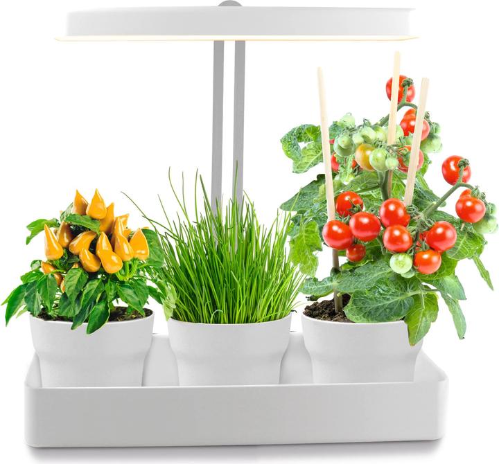 Produktbild Northpoint Hydroponisches LED Anzuchtsystem (LED, 220 V)