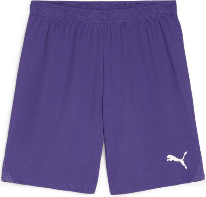 Actual product image Puma teamGOAL shorts (L)