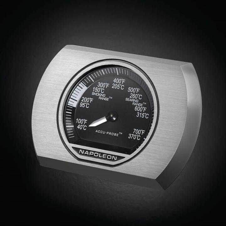 Immagine prodotto Napoleon Rogue SE 425 (25.60 kW)