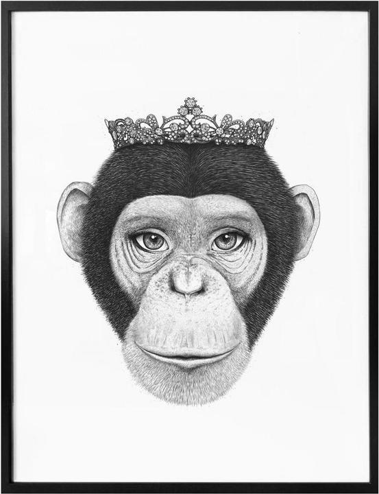 Immagine prodotto Trenddeko La regina scimmia (60 x 80 cm)