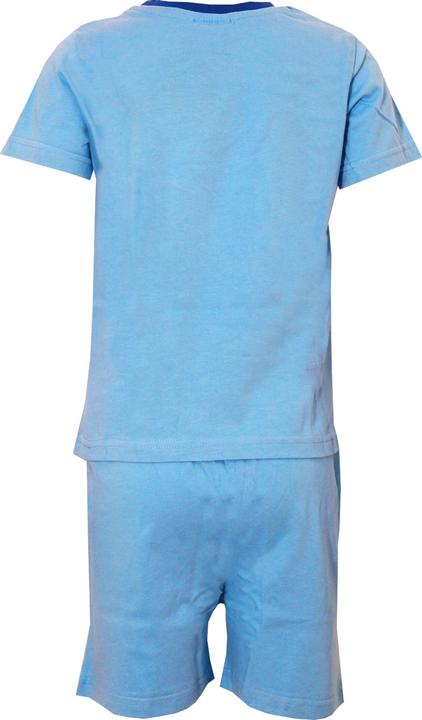 Actual product image Paw Patrol Boys Chase Short Pyjama Set (104)