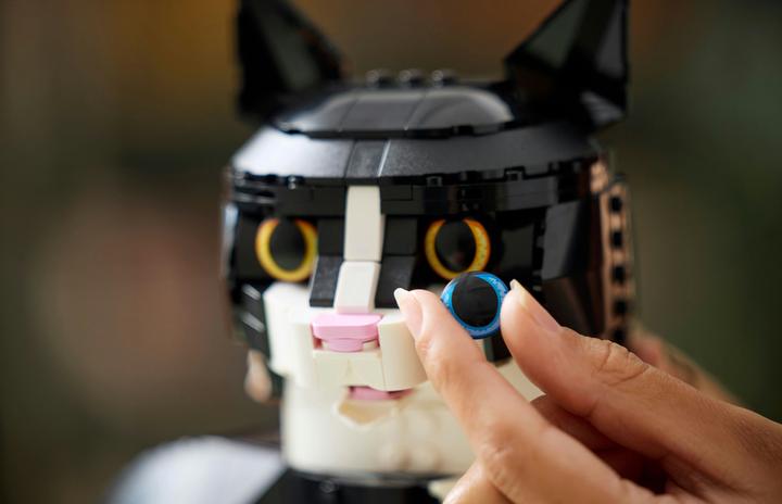 Productafbeelding LEGO Vertrouwelijk (21349, LEGO Ideeën, LEGO Zeldzame Sets)