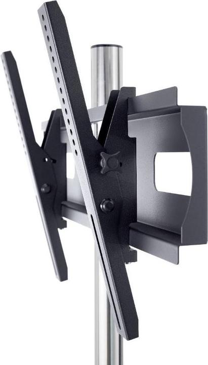 Actual product image edbak TR5 (60 inch) (60", 80 kg)