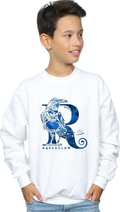 Image du produit - Sweat RAVENCLAW RAVEN - Garçon (152, 158)