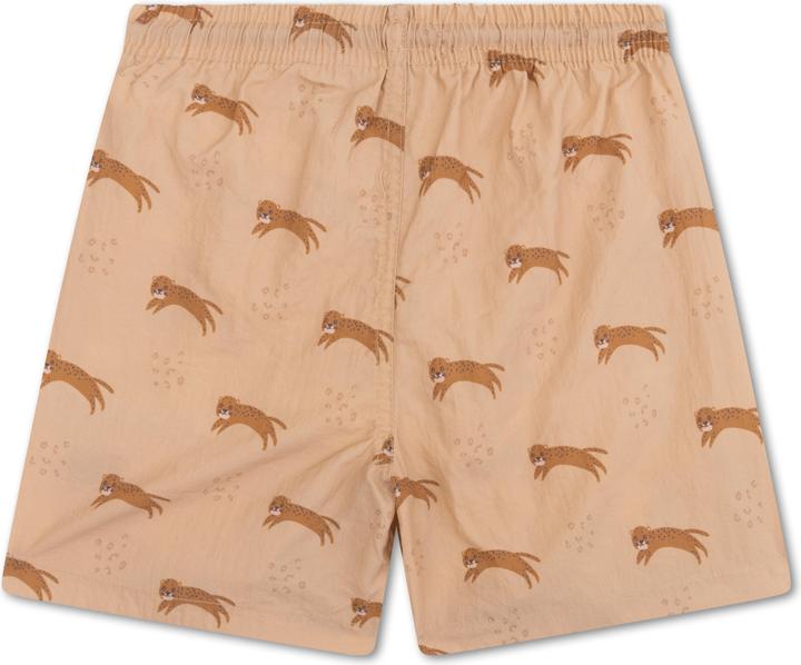 leopardo bianco sporco