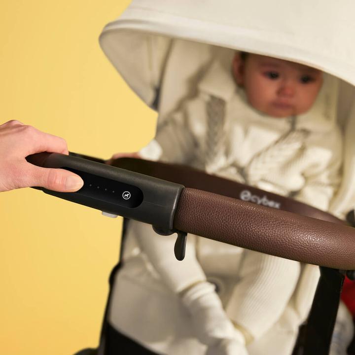 Actual product image Cybex eGazelle S