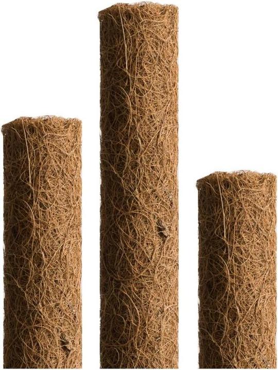 Actual product image Windhager Plant stick coconut (80 cm, 4.50 cm)