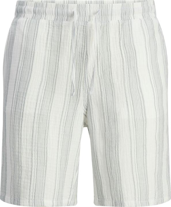 Jack & Jones Relaxed Fit Relaxed Fit Shorts Relaxed Fit Shorts