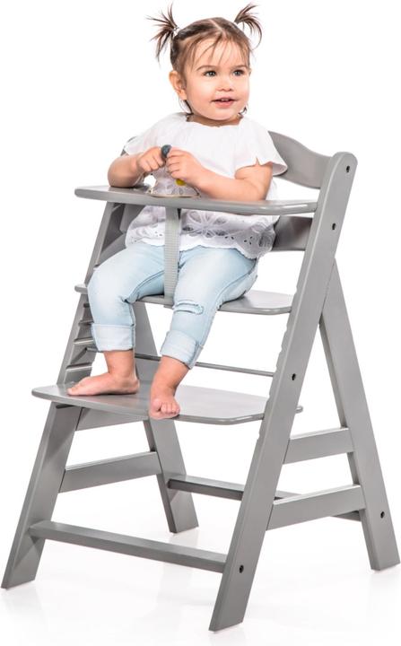 Productafbeelding Hauck Alpha+ (Kinderstoel)