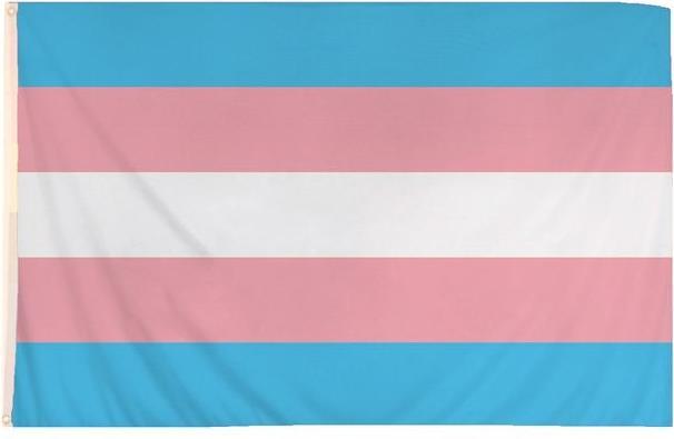 Actual product image Henbrandt CSD Fahne Transgender Pride 1,52m
