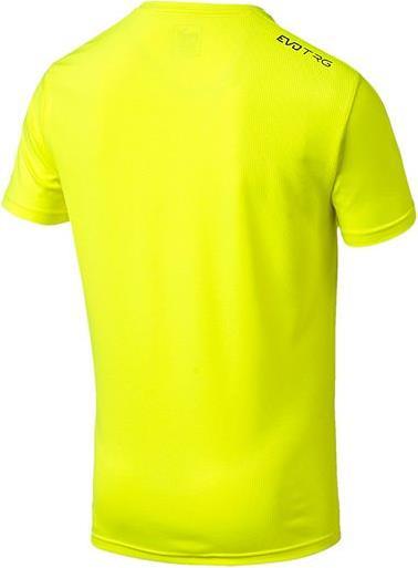 Image du produit Puma Tee d'entraînement evoTRG (S)