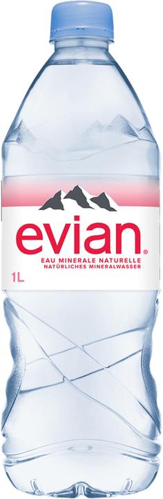 Actual product image Evian Mineral water (6 x 100 cl)
