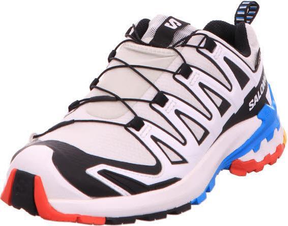 Actual product image Salomon Outdoor shoe XA PRO 3D V9 GTX W Luna (37.5)