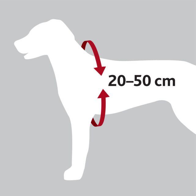 Actual product image Trixie Car harness (XS, Dog, General)