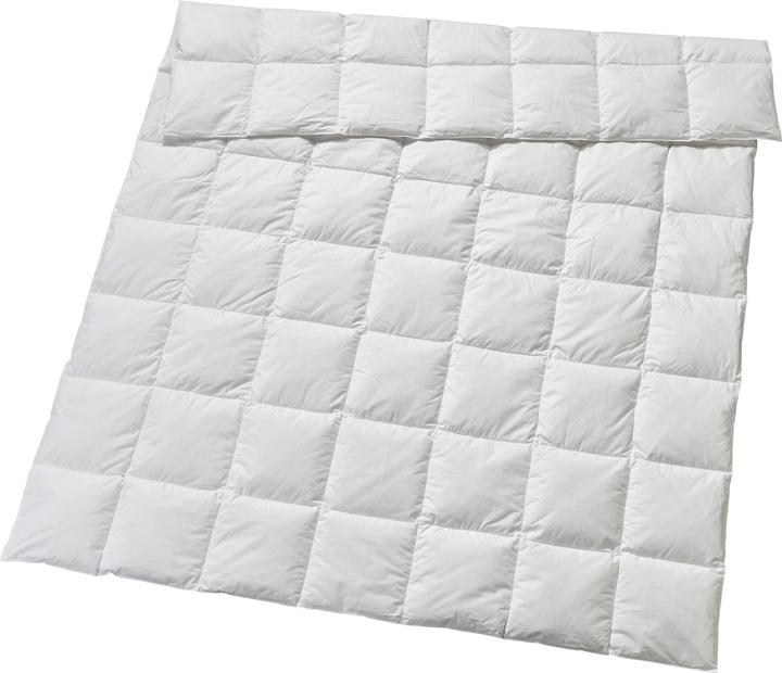 Immagine prodotto Billerbeck Edition Elwine Light (620 g, 200 x 210 cm)