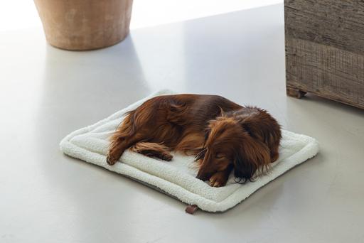 Actual product image Designed by Lotte Nalino (Dog)