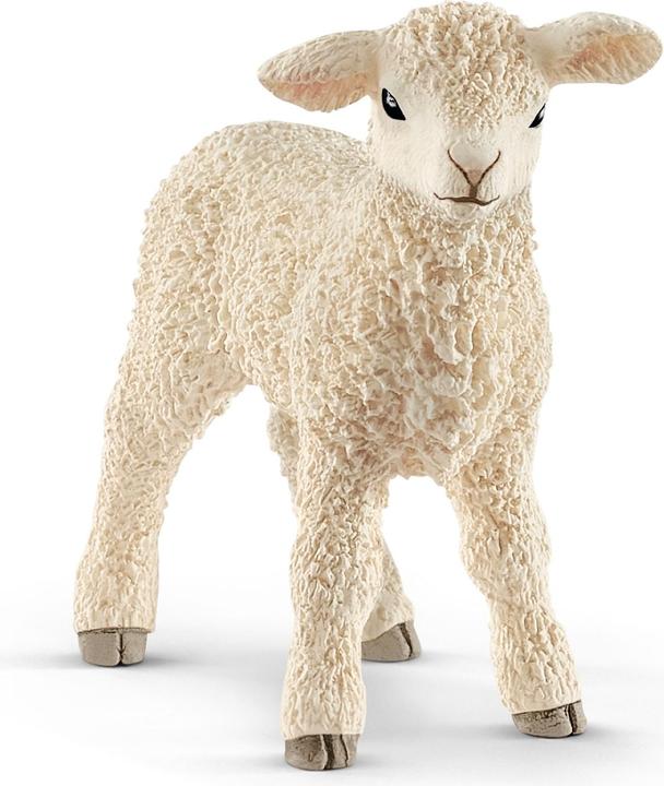 Image du produit Schleich Agneau