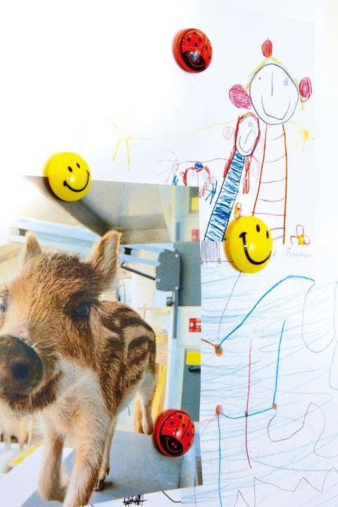 Image du produit Magnetoplan Smiley face (6 x)