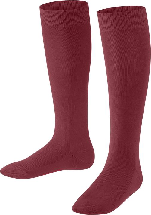 Actual product image Falke Family KH (Single pack, 31 - 34)