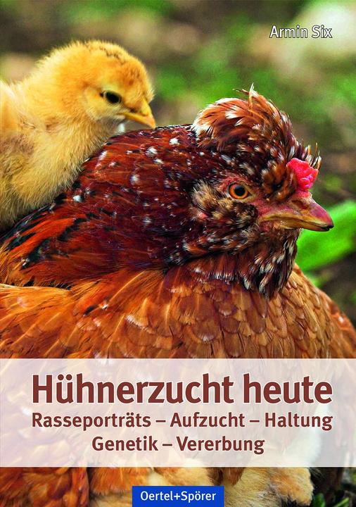 Image du produit Hühnerzucht heute (Allemand, Armin Six, 2018)