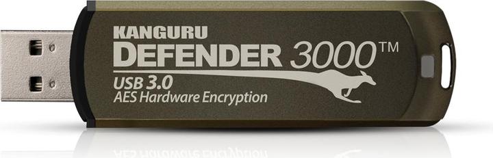 iStorage 256GB Kanguru Defender 3000 (256 GB, USB 3.2)