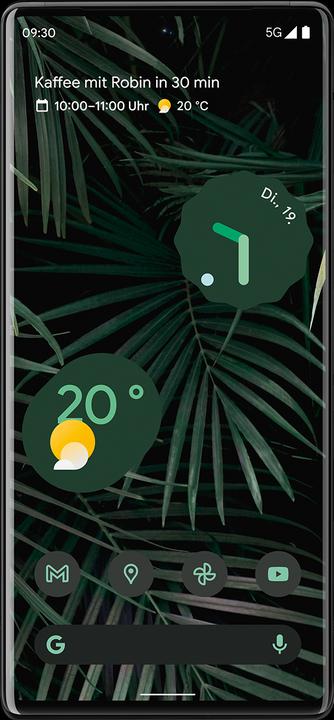 Produktbild Google Pixel 6 Pro (128 GB, Stormy Black, 6.70", SIM + eSIM, 50 Mpx, 5G)
