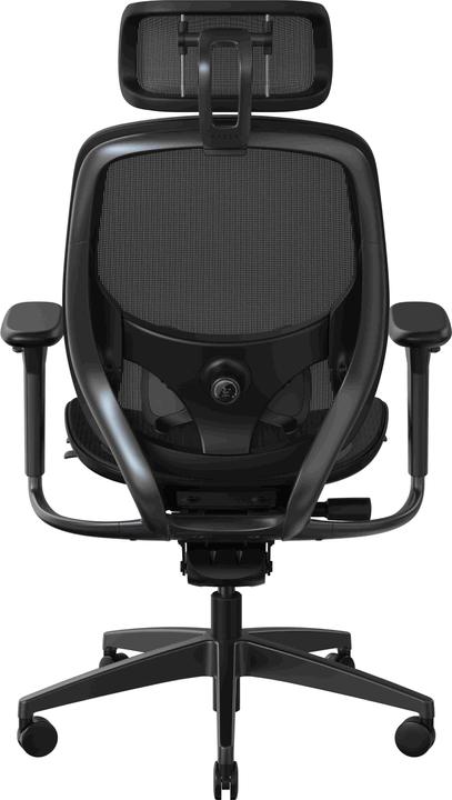 Razer Fujin Pro