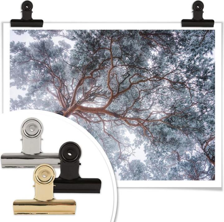 Immagine prodotto Trenddeko Albero in inverno (100 x 80 cm)