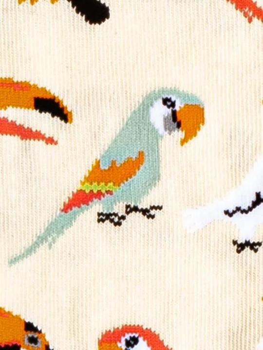 Image du produit DillySocks Aviaire de sable (Une unité par pack, 36 - 41)