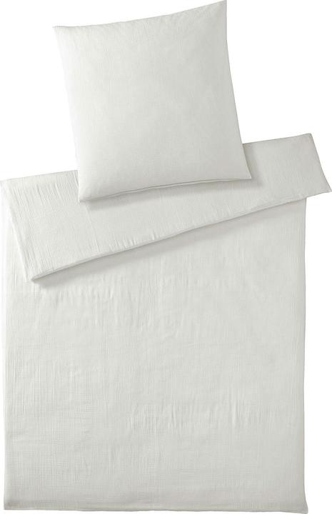 Blanc cassé
