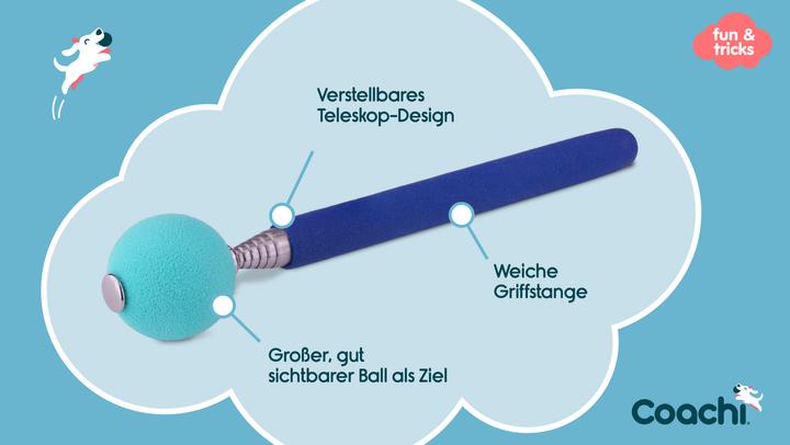 Actual product image Company of Animals Coachi Target Stick (Upbringing)