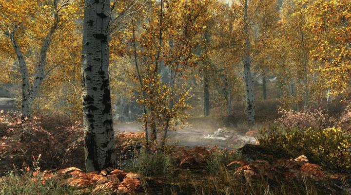 Produktbild Bethesda The Elder Scrolls 5: Skyrim Anniversary Edition (Xbox Series X, Xbox One S, Multilingual)