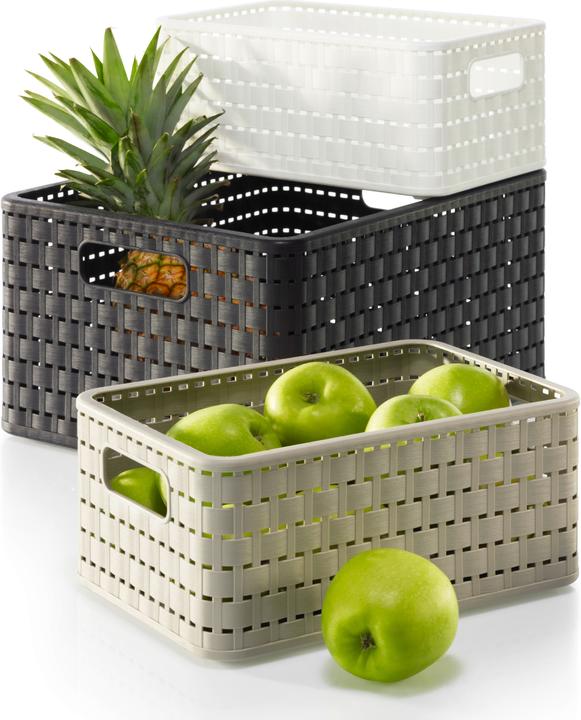 Image du produit Rotho Pays (1 x, 23.7 x 15.8 x 10.8 cm)