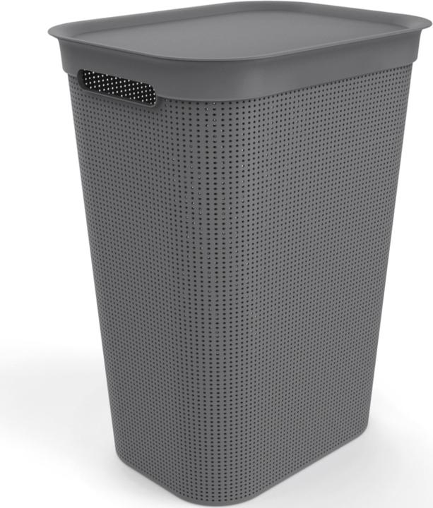 Rotho Breezes 1 (50 l)