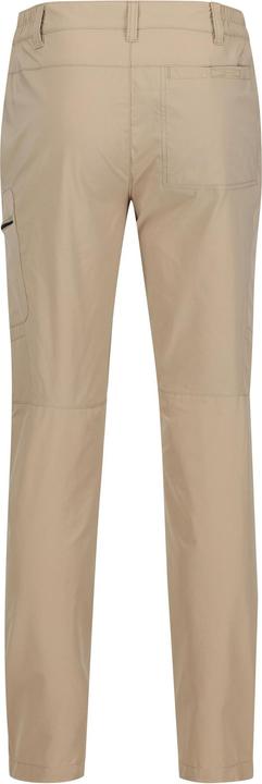 Actual product image Regatta Mens Highton Hiking Trousers (W38)