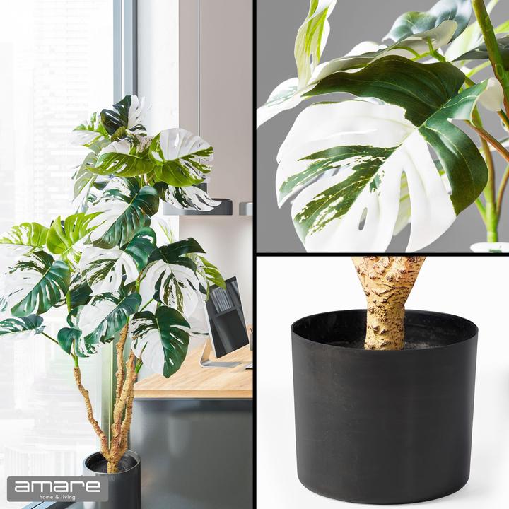Produktbild Amare Dekopflanze Monstera deliciosa Variegata (110 cm)