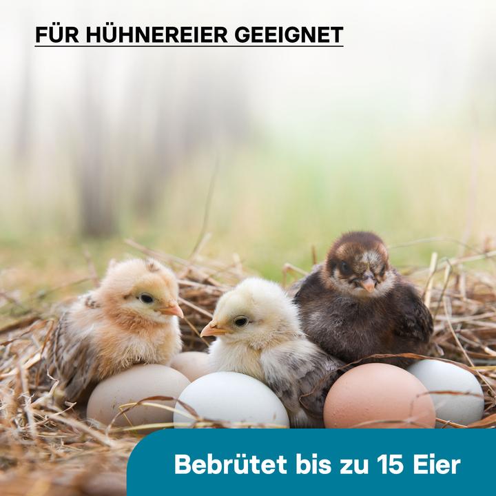 Image du produit Wiltec Brutmaschine