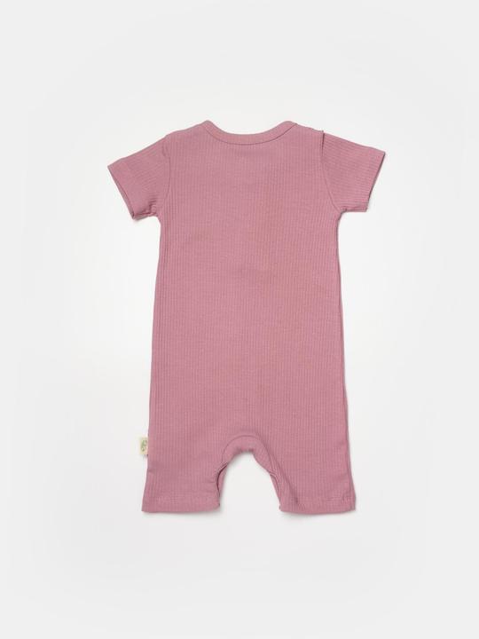 Actual product image BabyCosy 2 Pcs short sleeved Rompers (80)