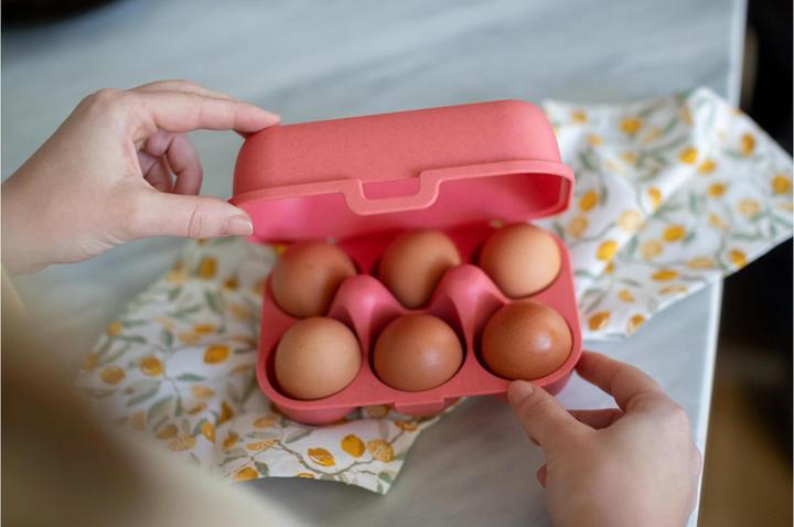 Image du produit Koziol Boîte à oeufs (1.40 l)
