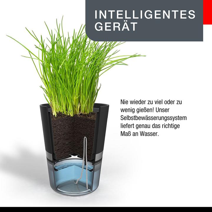 Produktbild GEFU Botanico (14.20 cm)
