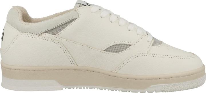 Produktbild ekn Yucca - 62955 (46)