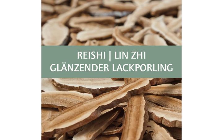 Produktbild Gamu Reishi / Ling Zhi Flüssigextrakt liq (1 Stück, Tropfen)